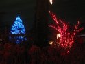 Toledo Zoo Lights 2008 043